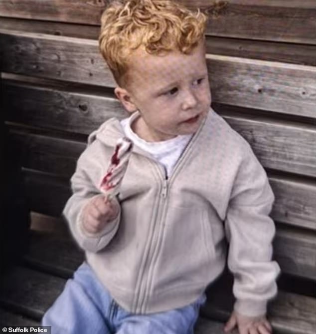 Noah vanished after becoming separated from a relative in Merriam Close, Brantham, on Tuesday afternoon