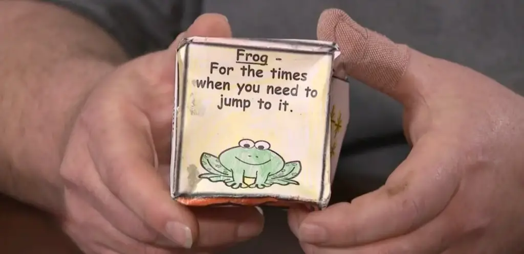 Frog gift